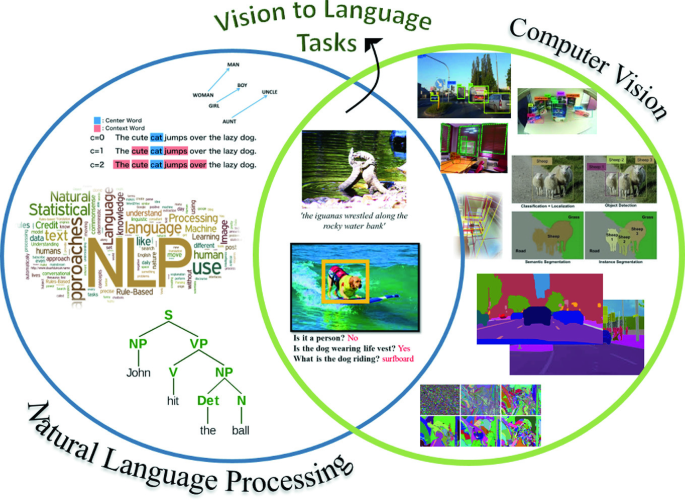 Bridging Vision and Language in AI