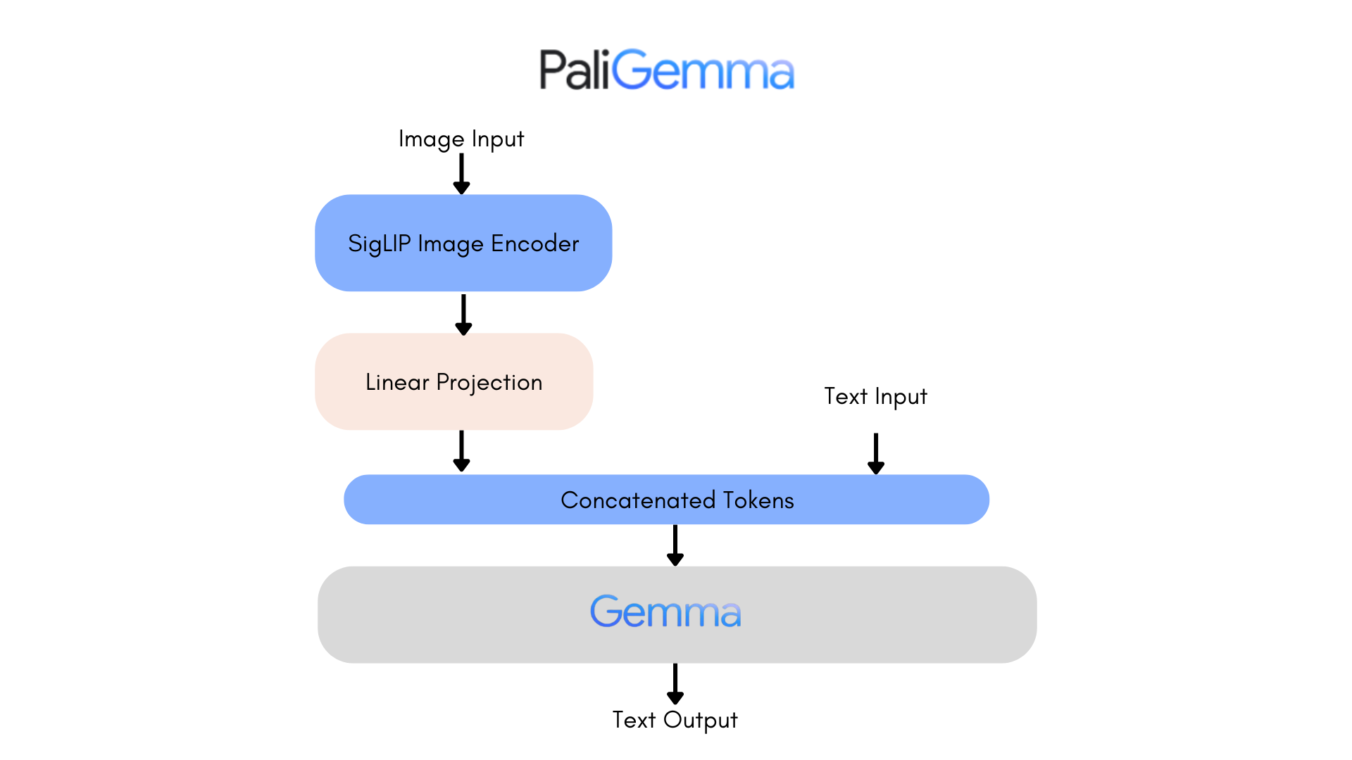 Paligemma Architecture