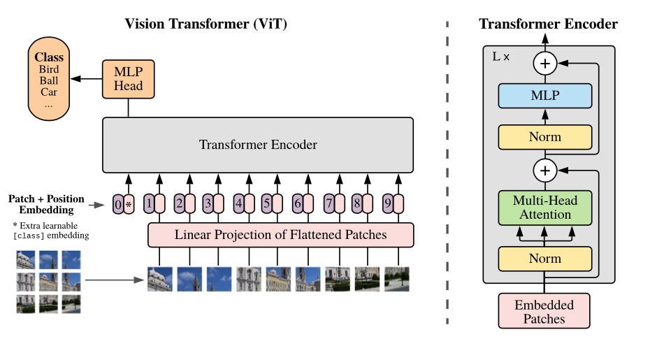 Vision Transformer Architecture